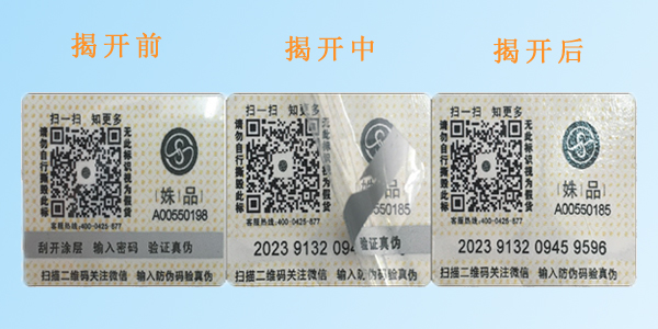 塑膜揭刮黄瓜视频免费在线观看標簽