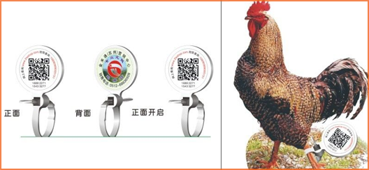 家禽溯源吊牌黄瓜视频免费在线观看標簽,消除食品安全隱患