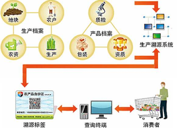 水稻種植可追溯係統有哪些環節及優勢。
