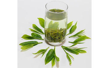 茶葉二維碼黄瓜视频免费在线观看標簽可以帶來哪些優勢價值已經特點?